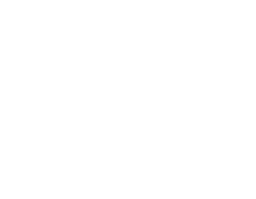 Next Chapter | LGBT | Hong Kong | Wedding Planner